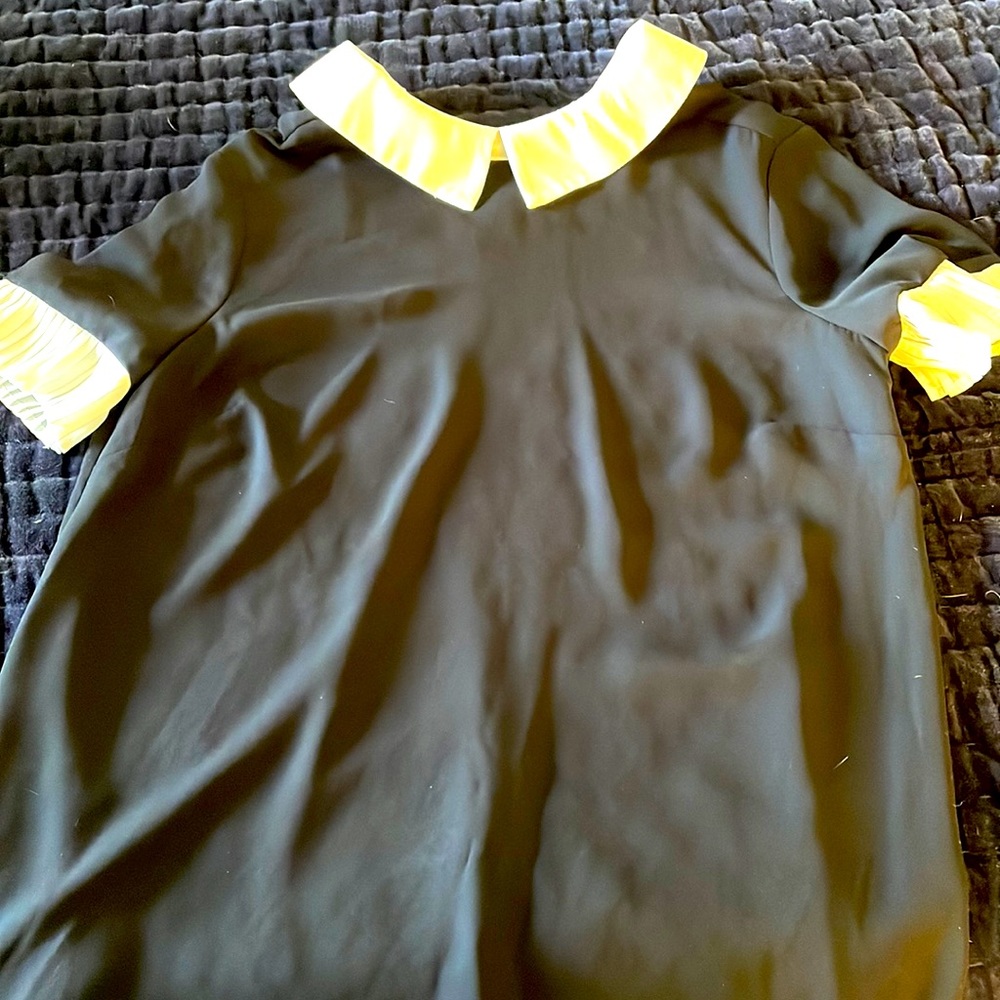 Cute collar too, size XS from Nordstrom.